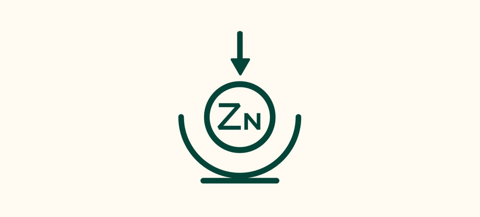 ZINC [PCA] - NUXE